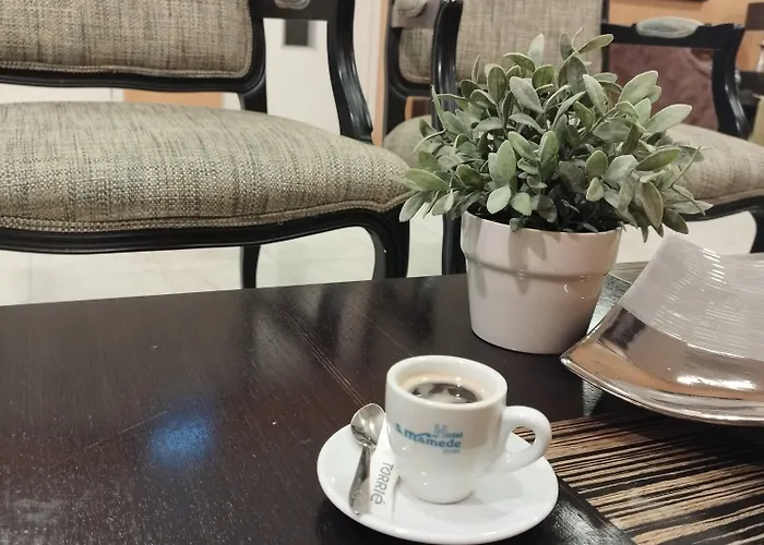 Hotel São Mamede 2*